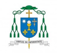 escudo obispo santander